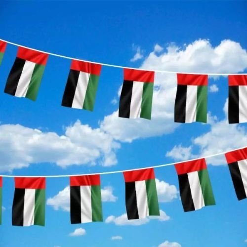 UAE String Flags and Flag Bunting - Image 2